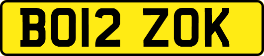 BO12ZOK