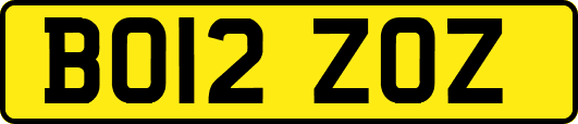 BO12ZOZ