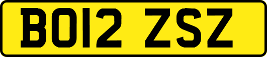 BO12ZSZ