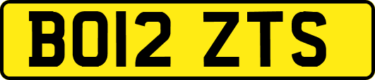 BO12ZTS