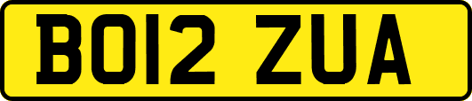 BO12ZUA