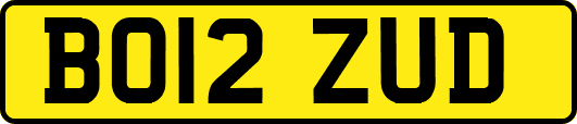 BO12ZUD