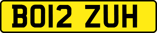 BO12ZUH