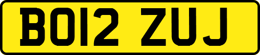 BO12ZUJ