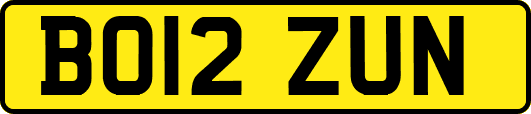 BO12ZUN
