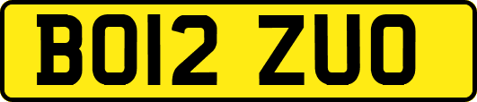 BO12ZUO