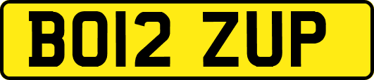 BO12ZUP