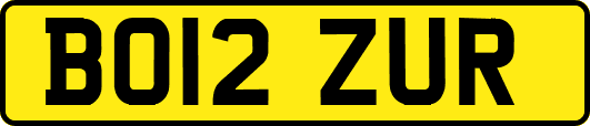 BO12ZUR