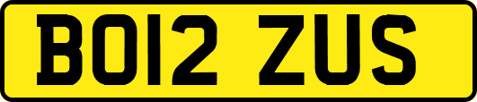 BO12ZUS