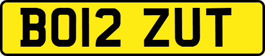 BO12ZUT