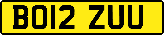 BO12ZUU