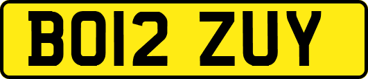 BO12ZUY