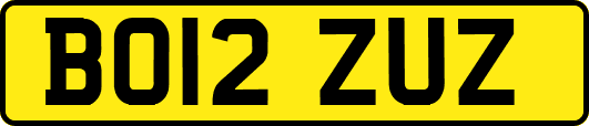 BO12ZUZ