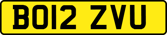 BO12ZVU