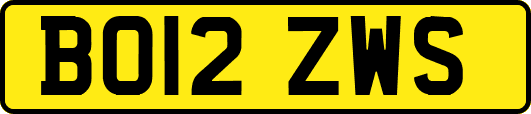 BO12ZWS