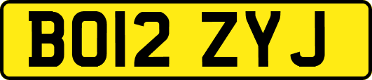 BO12ZYJ
