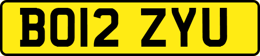 BO12ZYU