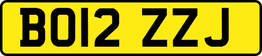 BO12ZZJ