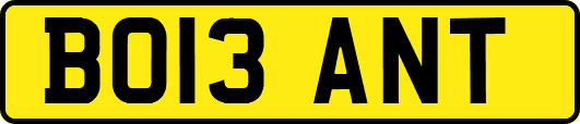BO13ANT