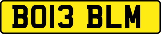 BO13BLM