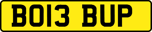 BO13BUP