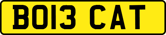 BO13CAT