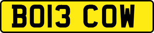 BO13COW
