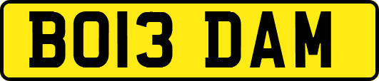 BO13DAM