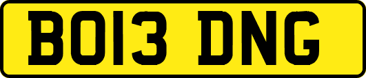 BO13DNG