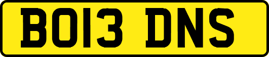 BO13DNS