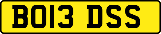 BO13DSS