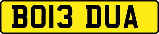 BO13DUA