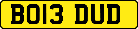 BO13DUD
