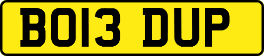 BO13DUP