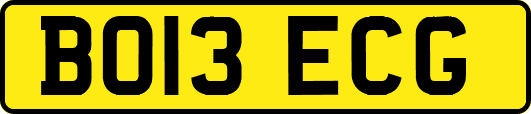 BO13ECG