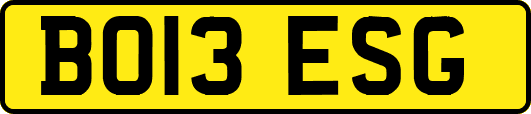 BO13ESG