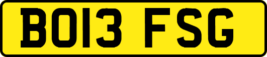 BO13FSG