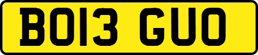 BO13GUO