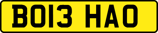BO13HAO
