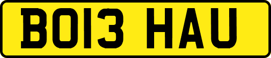 BO13HAU
