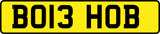 BO13HOB