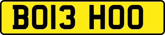 BO13HOO