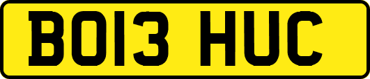 BO13HUC