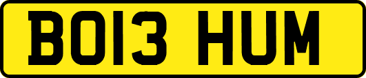 BO13HUM