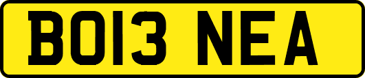 BO13NEA
