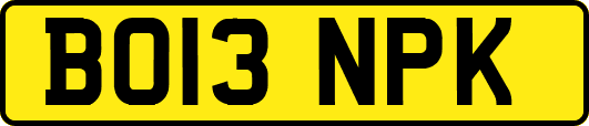 BO13NPK