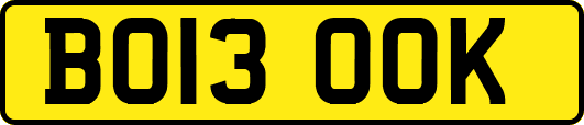 BO13OOK