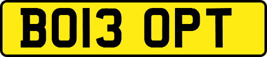 BO13OPT
