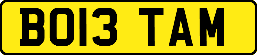 BO13TAM