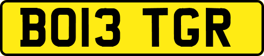 BO13TGR